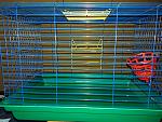     
: 20181015_100149.jpg
: 12
:	219.7 
ID:	12906450