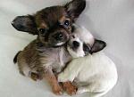     
: foto_fun_humor_193.jpg
: 19
:	42.7 
ID:	1290849