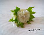     
: DSC00041.jpg
: 13
:	76.8 
ID:	12908966