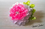     
: DSC00060.jpg
: 11
:	93.1 
ID:	12908968