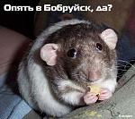     
: foto_fun_humor_150.jpg
: 25
:	40.7 
ID:	1290984