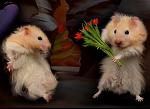     
: foto_fun_humor_31.jpg
: 28
:	24.9 
ID:	1290991