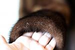     
: IMG_0091.jpg
: 9
:	96.2 
ID:	12911041