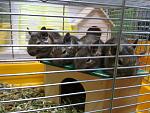     
: IMG_20181010_135354.jpg
: 27
:	134.6 
ID:	12913300