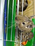     
: IMG_20181005_194903.jpg
: 26
:	75.1 
ID:	12913301