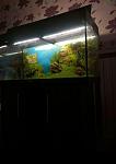     
: photo_2018-10-22_18-40-22.jpg
: 62
:	56.7 
ID:	12914229