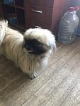     
: IMG-047fff1d7a787935bd14d889a953e6dc-V.jpg
: 7
:	85.8 
ID:	12914422