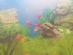     
: 20181024_123157.jpg
: 10
:	107.4 
ID:	12916302