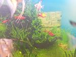     
: 20181024_123218.jpg
: 10
:	125.9 
ID:	12916304
