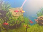     
: 20181024_123222.jpg
: 11
:	118.7 
ID:	12916306