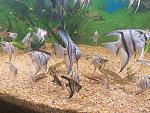     
: 20181024_120945.jpg
: 14
:	196.1 
ID:	12916340