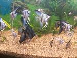     
: 20181024_121041.jpg
: 79
:	184.0 
ID:	12916341
