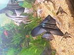     
: 20181024_121122.jpg
: 19
:	165.1 
ID:	12916343