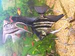     
: 20181024_121136.jpg
: 17
:	143.0 
ID:	12916344