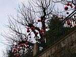     
: IMG_9463.jpg
: 15
:	276.1 
ID:	12918054