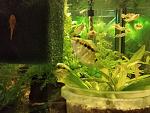     
: IMG_20181019_193750.jpg
: 14
:	139.5 
ID:	12920541