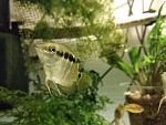     
: IMG_20181019_193830.jpg
: 15
:	112.3 
ID:	12920542