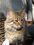     
: 20170422_162130.jpg
: 11
:	130.6 
ID:	12921760
