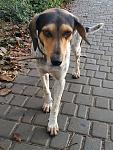     
: IMG_20181030_213659.jpg
: 16
:	161.7 
ID:	12922769
