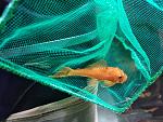     
: IMG_20181021_220250.jpg
: 15
:	222.8 
ID:	12925059