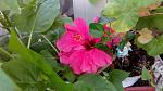     
: IMG_20180531_105439.jpg
: 7
:	129.3 
ID:	12925396