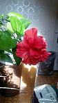     
: IMG_20180626_181849.jpg
: 7
:	80.5 
ID:	12925398