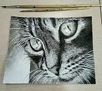     
: P70302-182522(1).jpg
: 13
:	232.2 
ID:	12930238