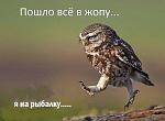     
: 45286416_1889609561116970_3244902170708934656_n.jpg
: 14
:	31.8 
ID:	12931866