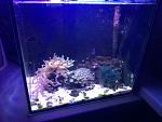     
: IMG_4146.jpg
: 280
:	151.8 
ID:	12934147