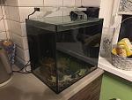     
: IMG_4144.jpg
: 224
:	113.3 
ID:	12934149