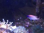     
: IMG_4143.jpg
: 51
:	137.4 
ID:	12934150