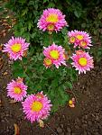     
: 6. 11 (11).jpg
: 12
:	110.7 
ID:	12934444