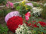     
: 6. 11 (13).jpg
: 13
:	147.9 
ID:	12934446