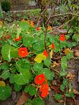     
: 6. 11 (10).jpg
: 10
:	112.4 
ID:	12934449