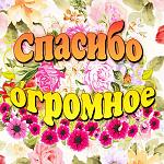     
: 683fb2ac85f14f492acedc50a68b9e65.jpg
: 24
:	97.2 
ID:	12936056