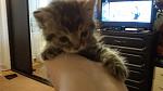    
: 20181112_095338.jpg
: 53
:	89.0 
ID:	12937442