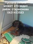     
: viber.jpg
: 93
:	77.2 
ID:	12937480
