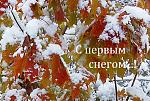     
: 132152856_article320690.jpg
: 17
:	45.0 
ID:	12940977