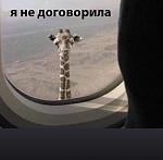     
: image.jpeg
: 17
:	51.4 
ID:	12941090