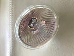     
: IMG_5773.jpg
: 21
:	126.7 
ID:	12942427