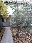     
: IMG_20181116_143142.jpg
: 37
:	151.5 
ID:	12943313