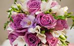     
: look.com.ua-58309.jpg
: 22
:	101.6 
ID:	12943812