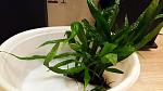     
: 20181117_183316.jpg
: 73
:	89.7 
ID:	12944126