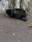     
: IMAG3473.jpg
: 118
:	161.6 
ID:	12948379