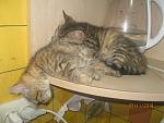     
: IMG_4264.jpg
: 8
:	110.7 
ID:	12948980