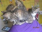     
: IMG_4273.jpg
: 10
:	134.3 
ID:	12948981