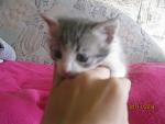     
: IMG_4246.jpg
: 10
:	92.5 
ID:	12948982