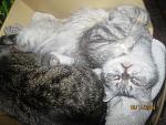     
: IMG_4291.jpg
: 8
:	128.7 
ID:	12948983