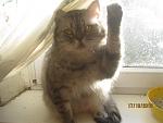    
: IMG_4172.jpg
: 8
:	75.2 
ID:	12948984