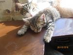     
: IMG_4192.jpg
: 8
:	114.0 
ID:	12948985
